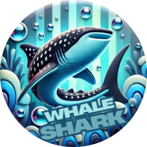 Whale Sharks